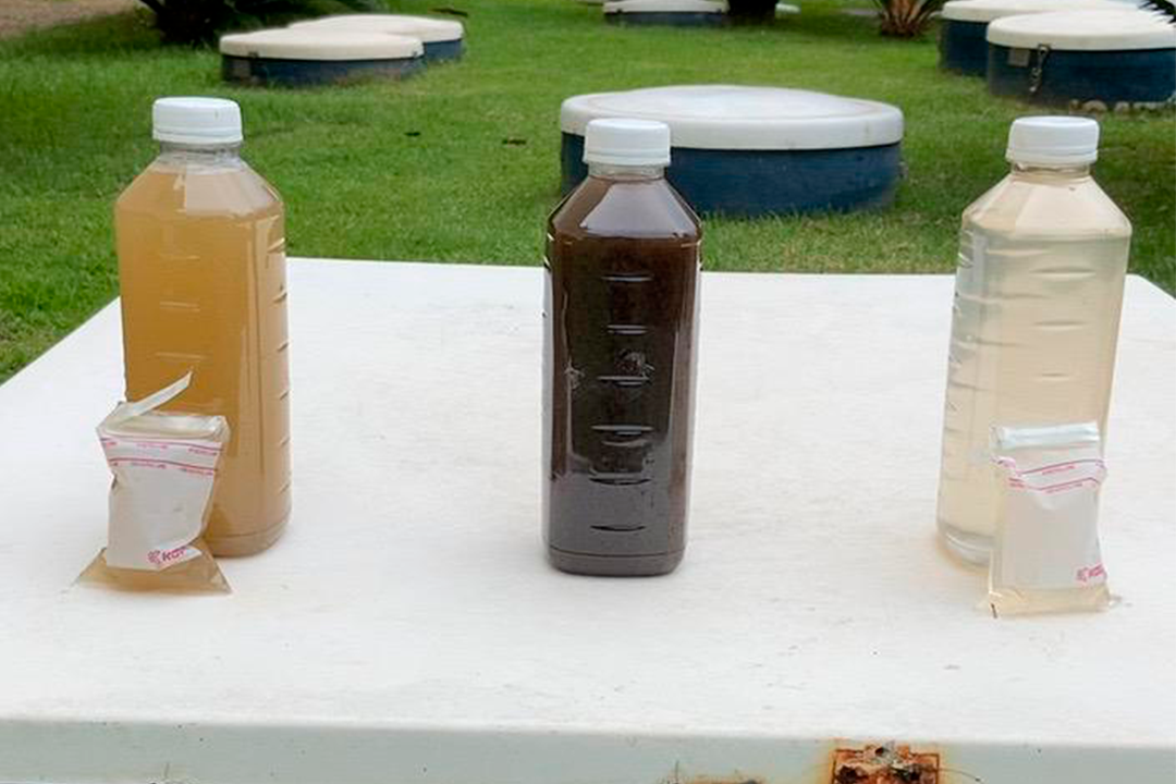 Consultoria ambiental